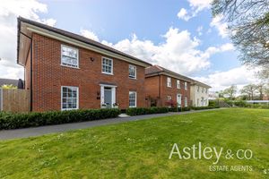 front- click for photo gallery